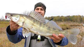 Pikeperch on the Desna. Seek and You Shall Catch