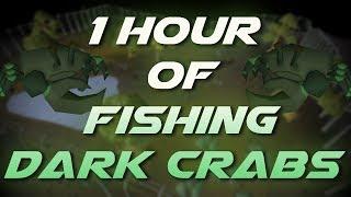 Fishing Dark Crabs | Testing OSRS Wiki Money Making Guides