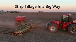 Strip Till in a Big Way