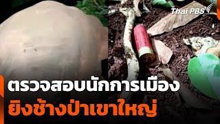ตรวจสอบนักการเมืองยิงช้างป่าเขาใหญ่ | วันใหม่ ไทยพีบีเอส | 23 มิ.ย. 68