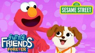 Sesame Street: T-A-N-G-O (BINGO Song Remix) | Elmo & Puppy Furry Friends Forever