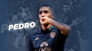 PEDRO JUNIOR - 2019