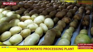 Suarza Potato Processing Plant | Potato Washing, Grading, Drying, Sorting | Potato Exporter Pakistan