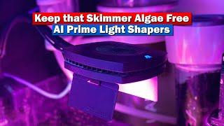 Keep that skimmer Algae Free - ReefDudes/VCA AI Prime Light shaping visors