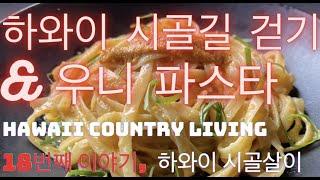 하와이 시골길 산책, 성게 파스타 만들기 Hawaii country living #18