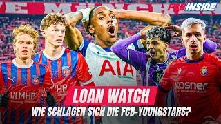 Wanner, Irankunda und Mathys Tel & Co.: So läuft es für die Leihspieler des FC Bayern!