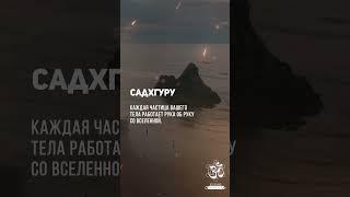 Каждая частица вашего тела работает рука об руку со Вселенной. Садхгуру #shorts #shortsvideo