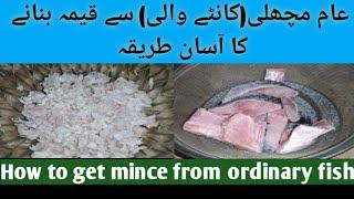 How to get mince from ordinary fish | عام مچھلی سے قیمہ بنانے کا آسان طریقہ | How to make fish mince