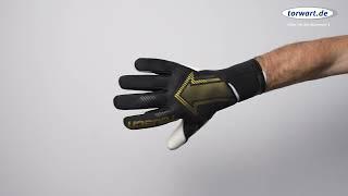 Reusch Torwarthandschuhe Fastgrip Gold (R5570100-7707)