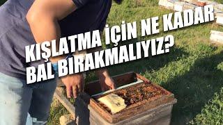 Kışlatma İçin Kovanda Ne Kadar Bal Bırakmalıyız?