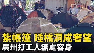 紮帳篷 睡橋洞成奢望！廣州打工人無處容身！！｜ #人民報