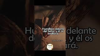 #avivamientoeternoenelespiritusanto #los5minutosdelespiritusanto #fe