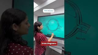 65 Inch Digital Board For Classroom - Interactive Flat Panel 65 Inch - Eye Diagram On Smart Board