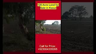 |128 acre land for sale in kasur |Zari Raqba for Sale in Kasur| #shorts #viralshort #youtubeshorts