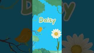 Flowers Names || Names of flowers #kidsvideo #flowers #childrenseducation #kidseducation #learning