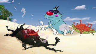 हिंदी Oggy and the Cockroaches  भुना हुआ बिल्ली  Hindi Cartoons for Kids