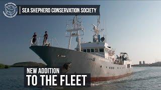 Behind the Scenes - A Glimpse at Sea Shepherd's Newest Ship!