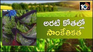 అరటి కోతల్లో సాంకేతికత | New Technology For Banana Cultivation | Matti Manishi | 10TV News