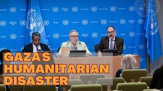 Gaza's Humanitarian Disaster: UN Special Rapporteurs Call for Action