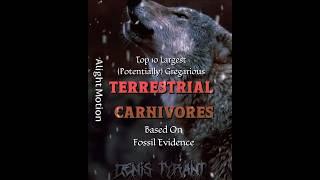 Top 10 Largest (Potentially) Gregarious Terrestrial Carnivores Based On Fossil Evidence