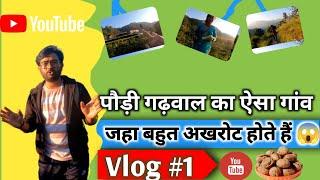 My First Vlog || First Village Uttarakhand Nawasu Gaon || Village Lifestyle Vlog|| Abhinav Rawat