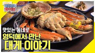 [맛있는 동네로(路)]영덕에서 만난 대게에는 어떤 이야기가 담겨있을까? KBS 220329 방송