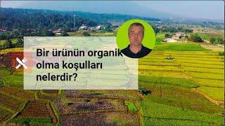 Organik Tarım Nasıl Yapılır? Türkiye ve Dünyada