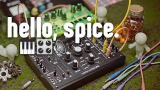 Hello Spice: Unboxing Plankton Electronic's semi-modular saturation unit