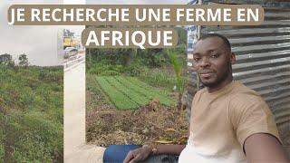 Le meilleur endroit pour implanter UNE FERME à Kinshasa (RD Congo) c'est....