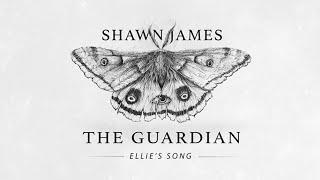 Shawn James - The Guardian (Ellie's Song) | The Last of Us Part II