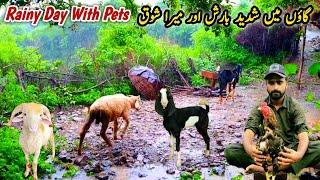 Rainy  Day With Pets Village Life Daily Routine MB Vlogs #villagelife