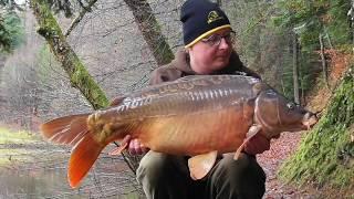 Castle Carp - im Schlosspark mit Daniel Polsinger