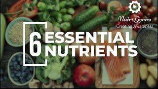 6 Basic Nutrients | छह पोषक तत्वों की सरल व्याख्या ।@nutriigyaan