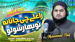 Raghli Che Janana  - Rabi Ul Awal Milad Naat 2024 - Official Video - Muhammad Naif