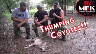 Thumpin Field Coyotes!