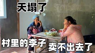 老人的儿子媳妇因意外双双离世，留下四个孩子给老人，李子是他们一年为数不多的收入，现在却要烂在树上，我却不知道该怎么帮助他们