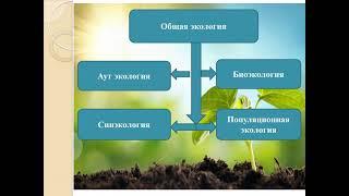 Мурат к. Н. Тема: "Основные понятия, цель и задачи экологии".