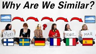 Why are we similar? l Can 6 European Understand Each Other?