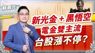 蘇威元分析師【新光金+黑悟空 電金雙主流 台股漲不停？】 2024.08.26 #蘇威元 #飆股元動力