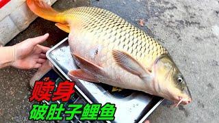 菜市場看見一條大鯉魚，肚子上破了個洞，便給它收了回來