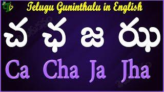 Cha Ccha Ja Jha Guninthalu in English |How to write చ ఛ జ ఝ Guninthalu in English |Learn #Guninthalu