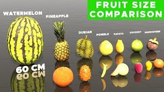 Fruit Size Comparison | 3d Animation Comparison | Real Scale Comparison