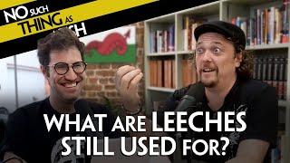 What Are Leeches Still Used For? | NSTAAF 442