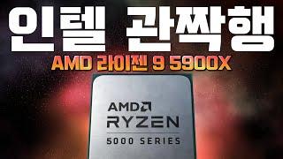 괴물이다 괴물!!!  RYZEN 5900X 작업성능 벤치마크! (AMD vs. Intel)