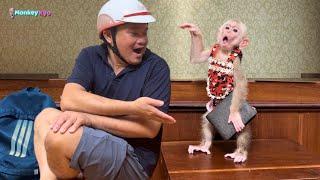 Super smart monkey Kyo finds Dad's wallet in a surprising way!