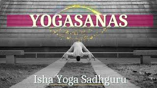 YOGASANAS - Les Postures Millénaires du Hatha Yoga Classique - Isha Yoga Sadhguru