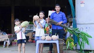 Clearing Weeds Around the New Wooden House, Harvesting Pumpkins to Sell at Market | Family Farm