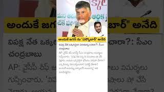 AP CM Chandrababu Naidu comments on YS Jagan