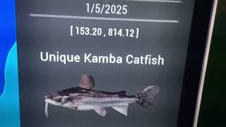 Fishing Planet unique Kamba Catfish