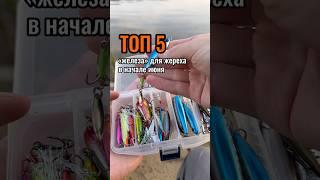 Мой топчик для жереха в начале июня! #поймалотпусти #жерех #рыбалка #спиннинг